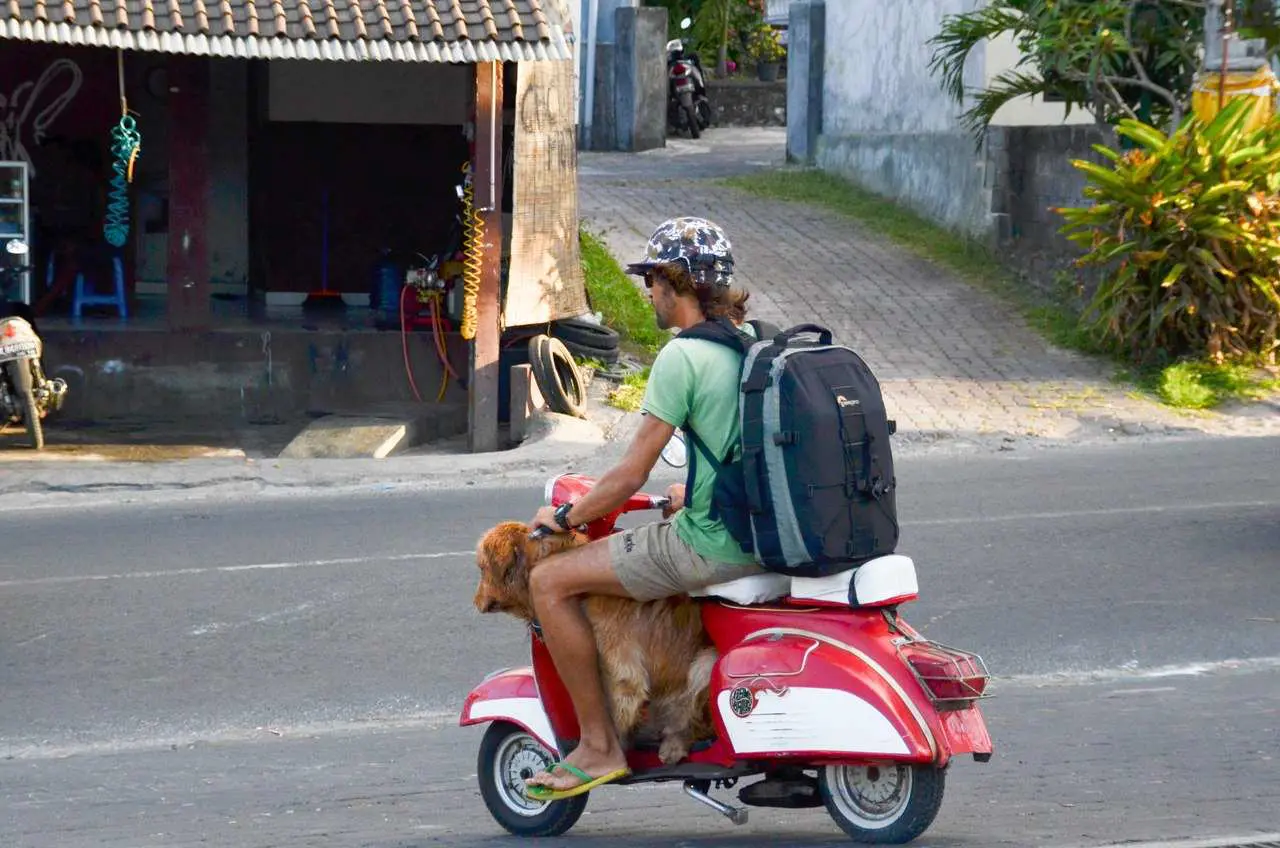 Водительское удостоверение Индонезии на байк или авто